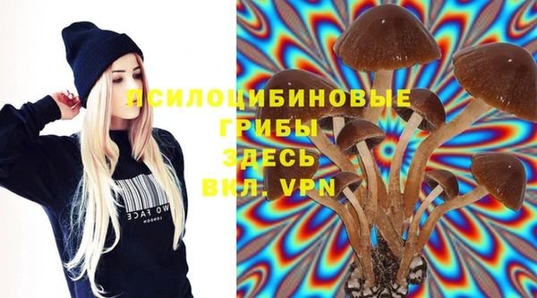 дурь Баксан