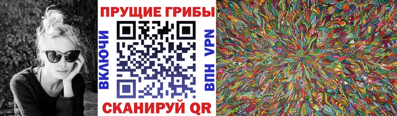 мега зеркало  купить наркоту  Углегорск  Галлюциногенные грибы ЛСД 