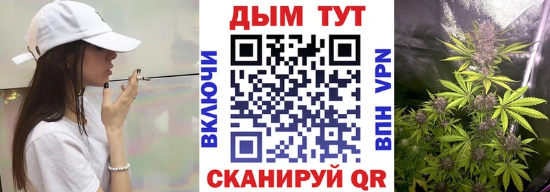 Конопля сатива  Углегорск 